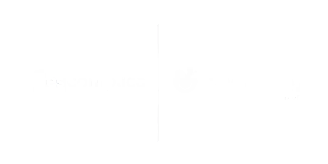 Graduação Descomplica