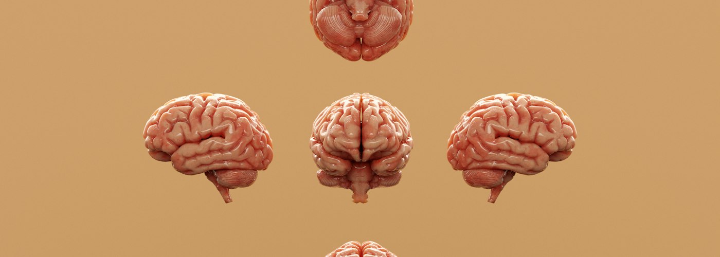 Neurociência da Linguagem e do Aprendizado
